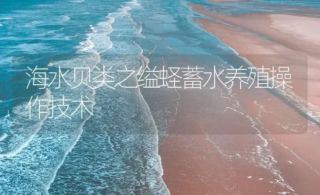 海水贝类之缢蛏蓄水养殖操作技术 | 海水养殖