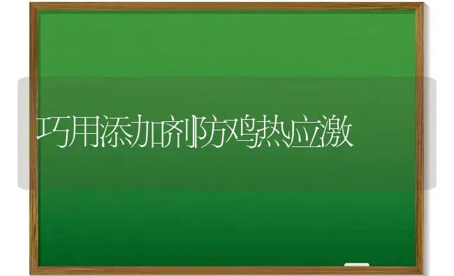 巧用添加剂防鸡热应激 | 家禽养殖