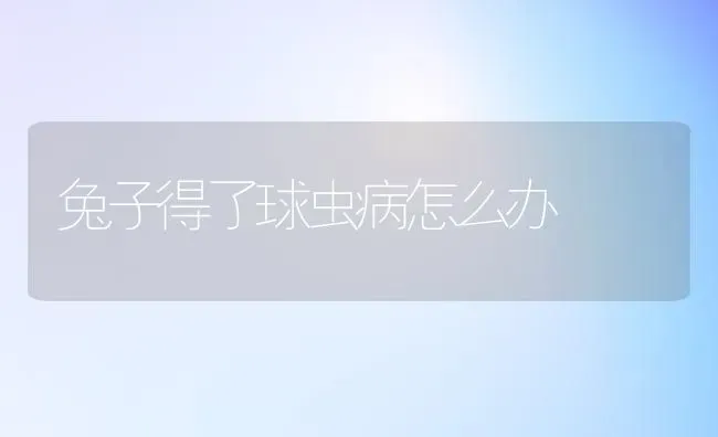 兔子得了球虫病怎么办 | 家畜养殖