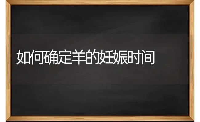 如何确定羊的妊娠时间 | 家畜养殖