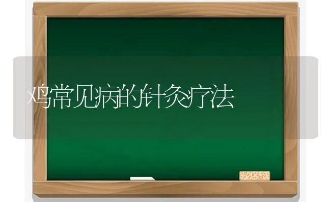 鸡常见病的针灸疗法 | 家禽养殖