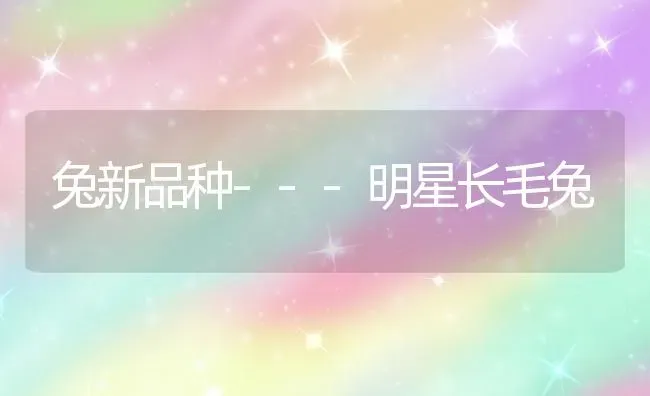 兔新品种---明星长毛兔 | 家畜养殖