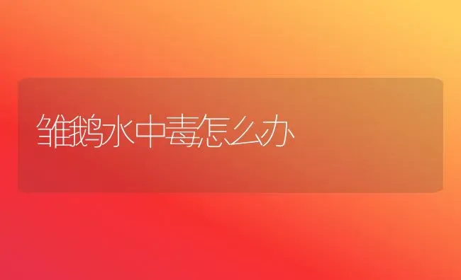 雏鹅水中毒怎么办 | 家禽养殖