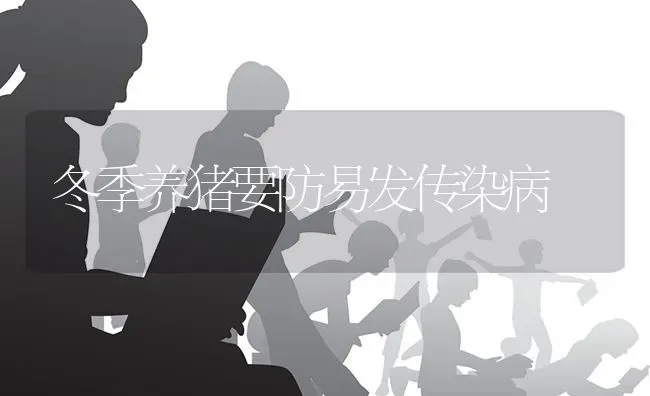 冬季养猪要防易发传染病 | 家畜养殖