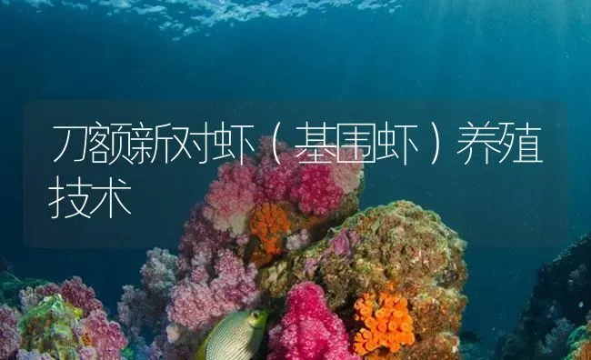 刀额新对虾（基围虾）养殖技术 | 海水养殖