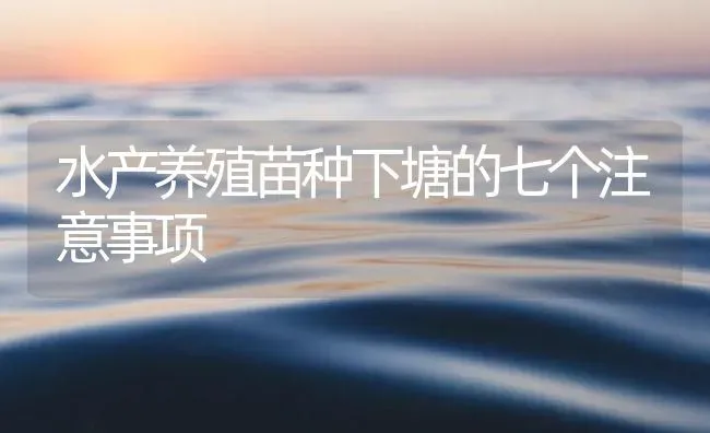 水产养殖苗种下塘的七个注意事项 | 淡水养殖