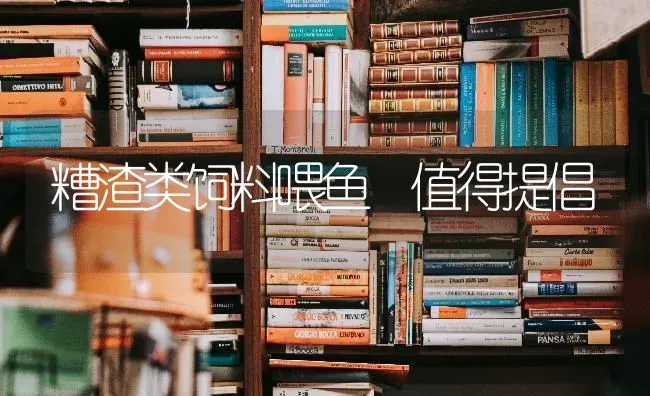 糟渣类饲料喂鱼 值得提倡 | 动物养殖饲料