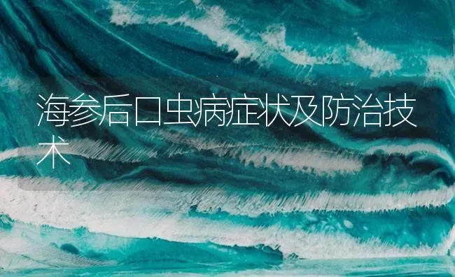 海参后口虫病症状及防治技术 | 养殖病虫害防治