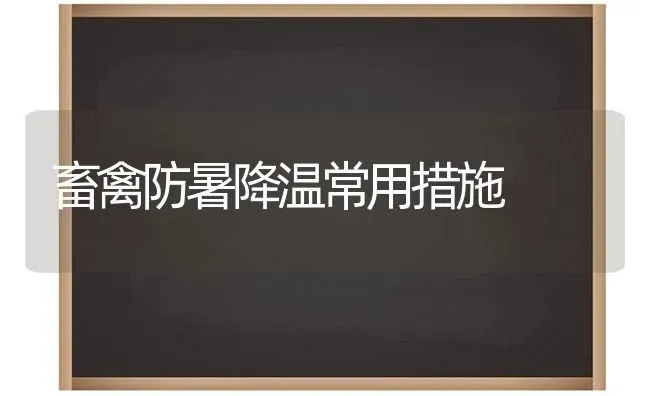 畜禽防暑降温常用措施 | 家禽养殖