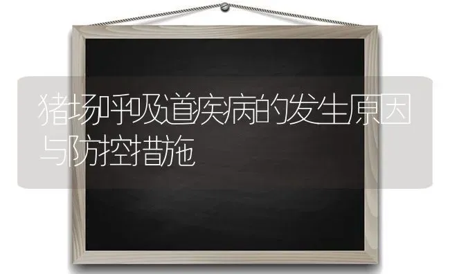 猪场呼吸道疾病的发生原因与防控措施 | 家畜养殖