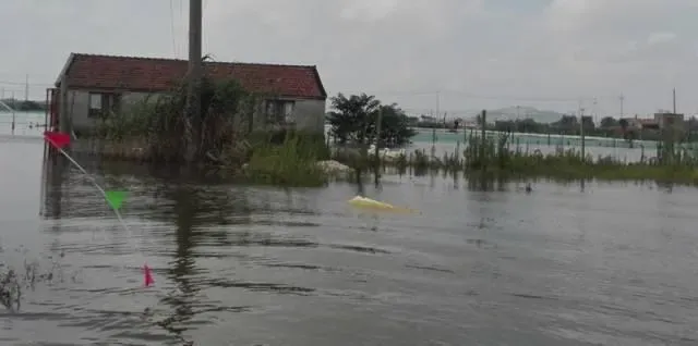 大雨肆虐，洪水来袭，河蟹塘管理要注意哪些方面