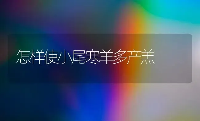 怎样使小尾寒羊多产羔 | 家畜养殖