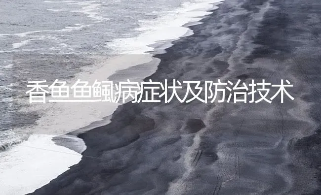 香鱼鱼鲺病症状及防治技术 | 养殖病虫害防治