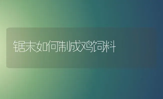 锯末如何制成鸡饲料 | 家禽养殖