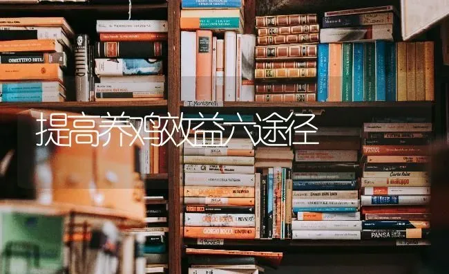 提高养鸡效益六途径 | 家禽养殖