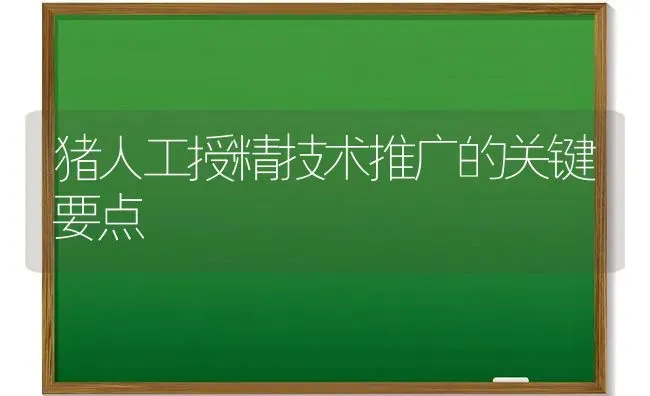 猪人工授精技术推广的关键要点 | 家畜养殖