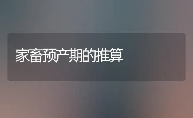 家畜预产期的推算 | 家畜养殖