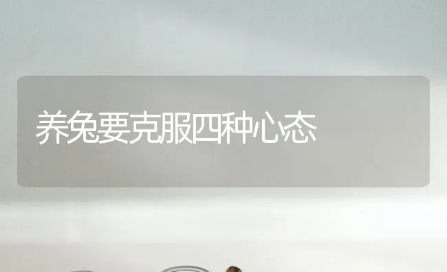 养兔要克服四种心态 | 家畜养殖