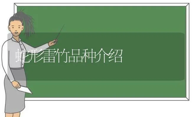 蛇形雷竹品种介绍 | 特种养殖