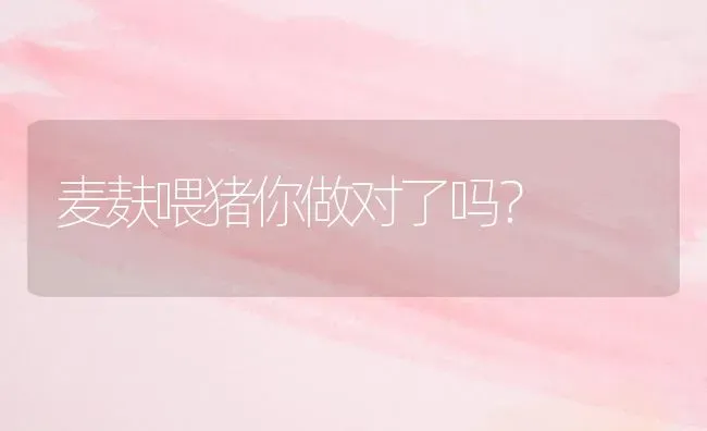 麦麸喂猪你做对了吗？ | 家畜养殖