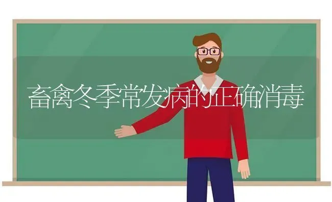 畜禽冬季常发病的正确消毒 | 家禽养殖