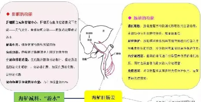 海鲈“游水”高发期，详解不同类型“游水”的特点