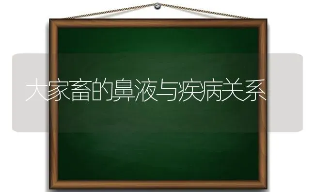 大家畜的鼻液与疾病关系 | 家畜养殖