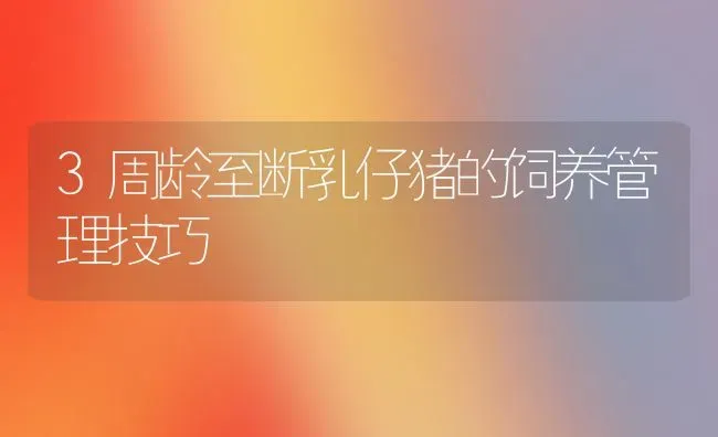 3周龄至断乳仔猪的饲养管理技巧 | 家畜养殖