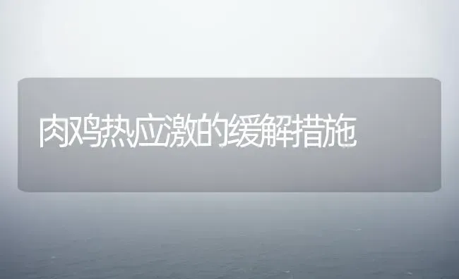 肉鸡热应激的缓解措施 | 家禽养殖