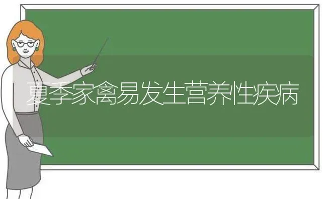 夏季家禽易发生营养性疾病 | 家禽养殖