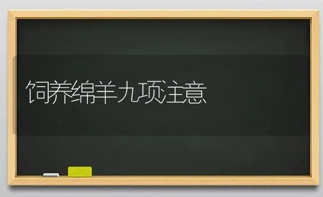 饲养绵羊九项注意 | 家畜养殖