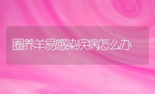 圈养羊易感染疾病怎么办 | 家畜养殖