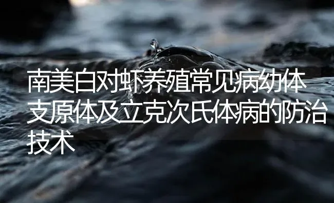 南美白对虾养殖常见病幼体支原体及立克次氏体病的防治技术 | 海水养殖