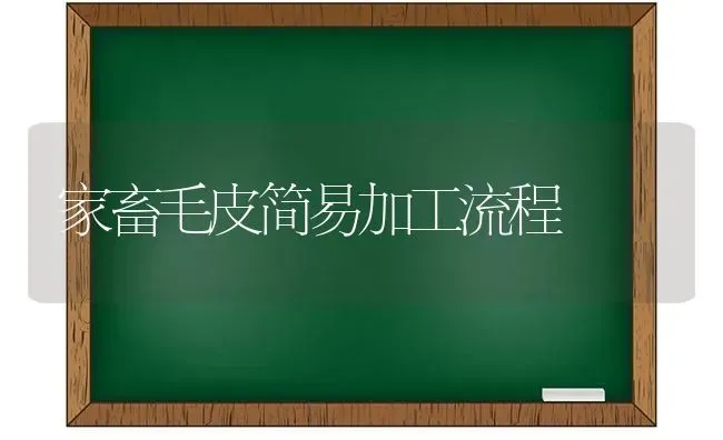 家畜毛皮简易加工流程 | 家畜养殖