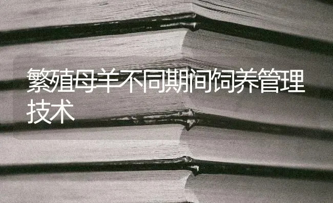 繁殖母羊不同期间饲养管理技术 | 家畜养殖