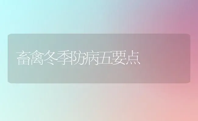 畜禽冬季防病五要点 | 家禽养殖