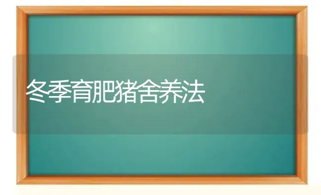 冬季育肥猪舍养法 | 家畜养殖
