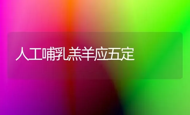 人工哺乳羔羊应五定 | 家畜养殖