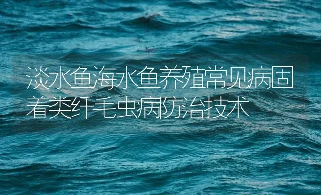 淡水鱼海水鱼养殖常见病固着类纤毛虫病防治技术 | 养殖病虫害防治