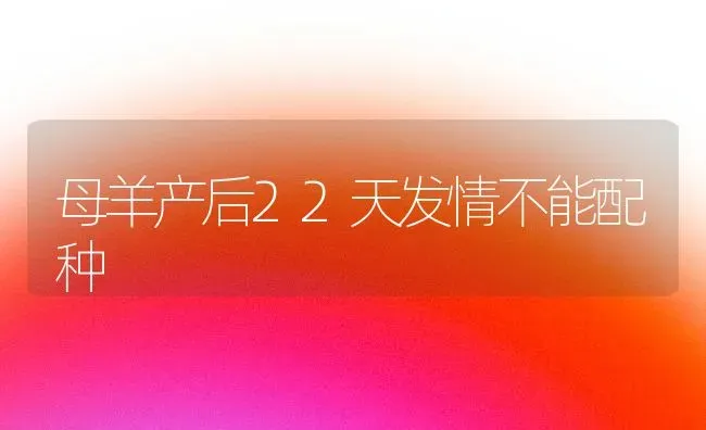 母羊产后22天发情不能配种 | 家畜养殖