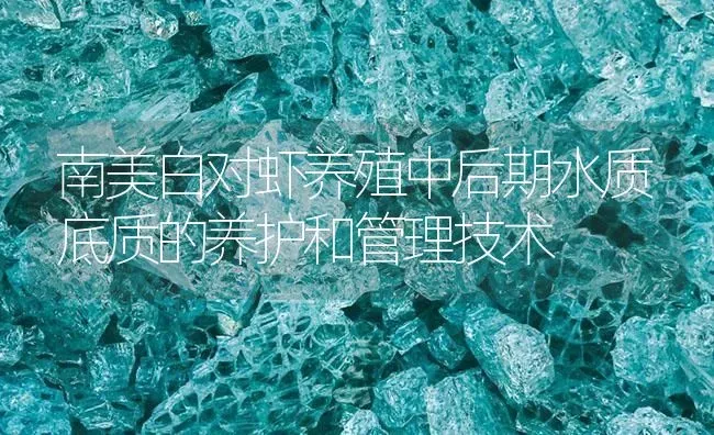 南美白对虾养殖中后期水质底质的养护和管理技术 | 海水养殖