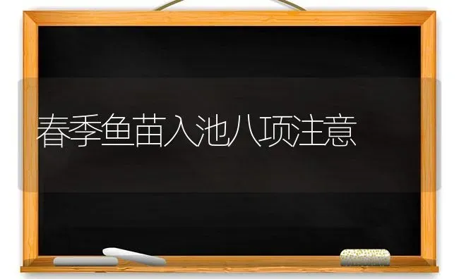 春季鱼苗入池八项注意 | 淡水养殖