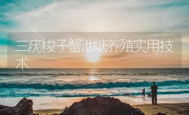三疣梭子蟹池塘养殖实用技术 | 海水养殖