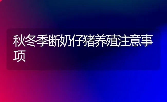 秋冬季断奶仔猪养殖注意事项 | 家畜养殖