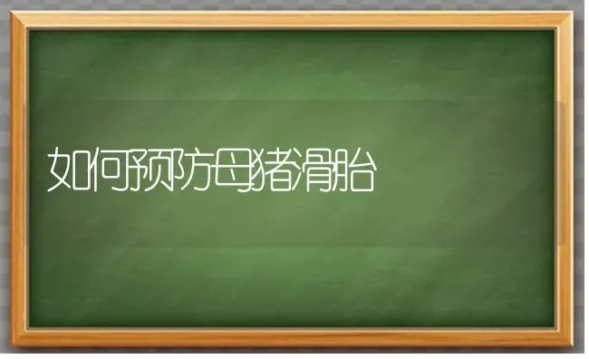 如何预防母猪滑胎 | 家畜养殖