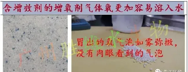 又是台风季节，南美白对虾养殖户怎么迎接台风？