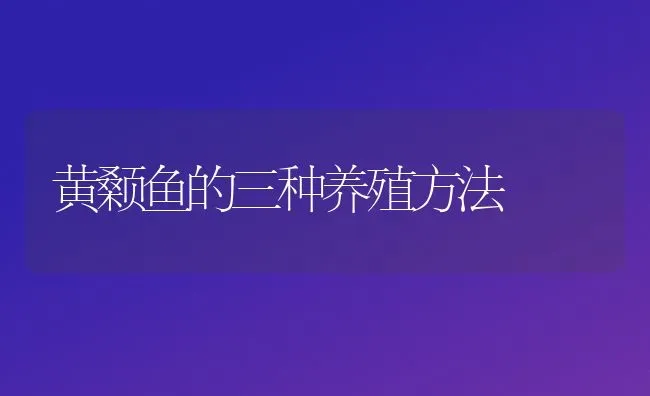 黄颡鱼的三种养殖方法 | 淡水养殖