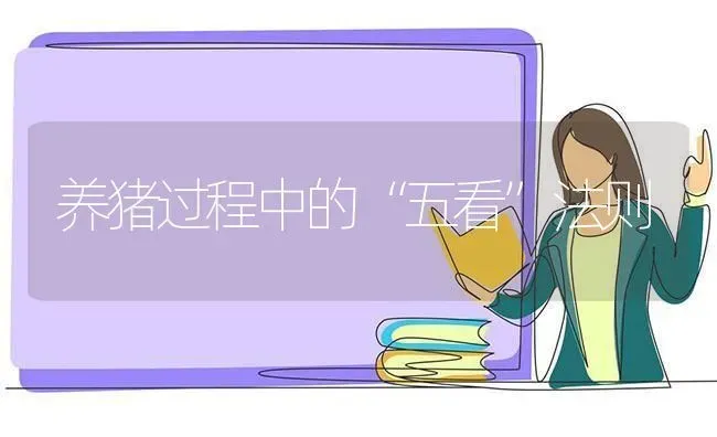 养猪过程中的“五看”法则 | 家畜养殖