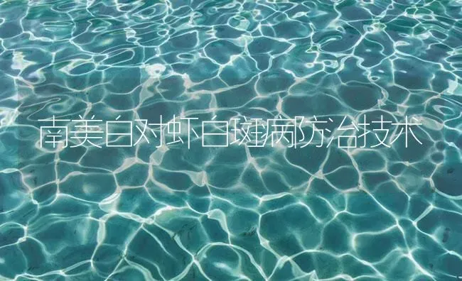 南美白对虾白斑病防治技术 | 海水养殖