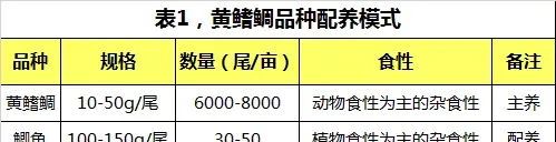 黄鳍鲷养殖连续五年丰收，头批一次上市量达1.7万斤的经验之谈